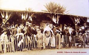 BISKRA - LES COURSES (1)